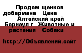 Продам щенков добермана › Цена ­ 25 000 - Алтайский край, Барнаул г. Животные и растения » Собаки   